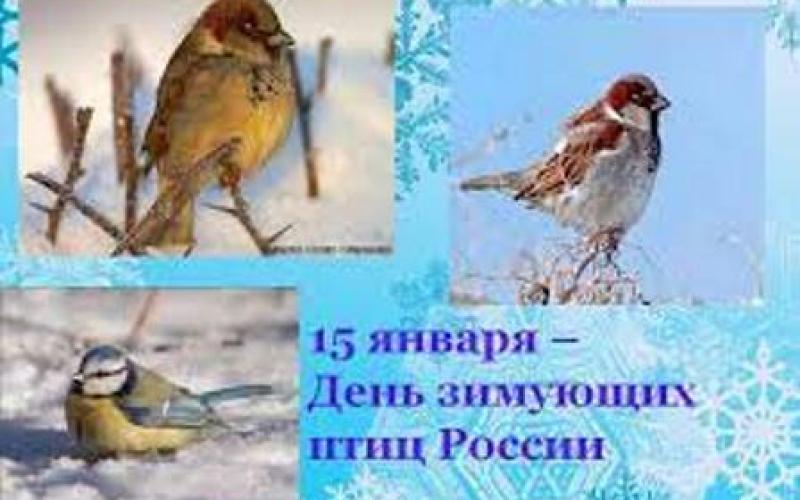 день зимующих птиц